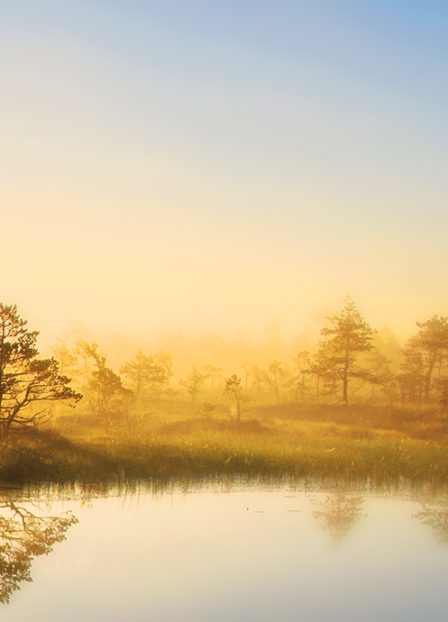 Balteco – Eestis toodetud vannid ja vannitoalahendused, mida armastatakse üle maailma